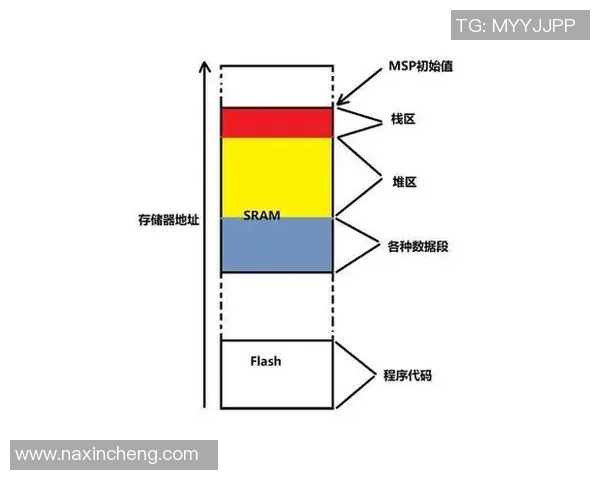 杭州乒乓球队防守策略解析与战术创新探讨