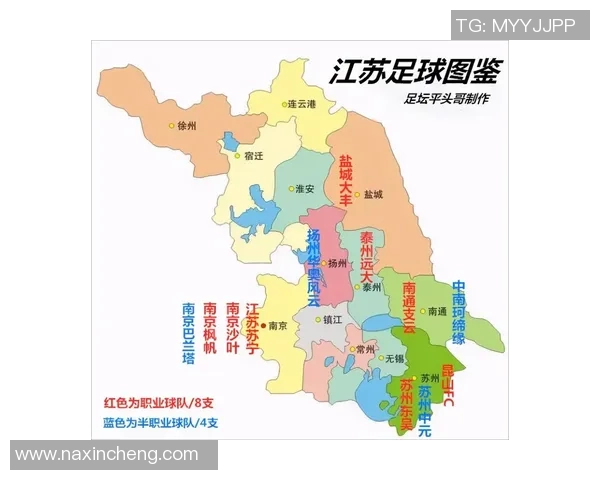 江苏儿童足球明星汇总及未来发展前景分析